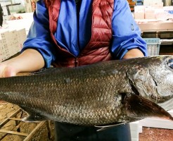 20181004_181110_0091