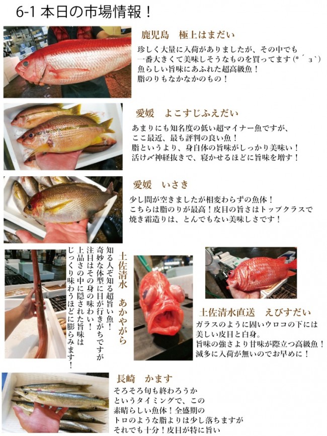 6 1おどりやおすすめ よこすじふえだい など 海鮮居酒屋で飲み会 海鮮 居酒屋 おどりや