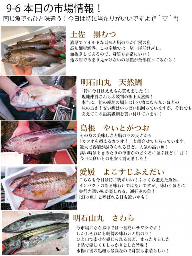 入荷情報9-6