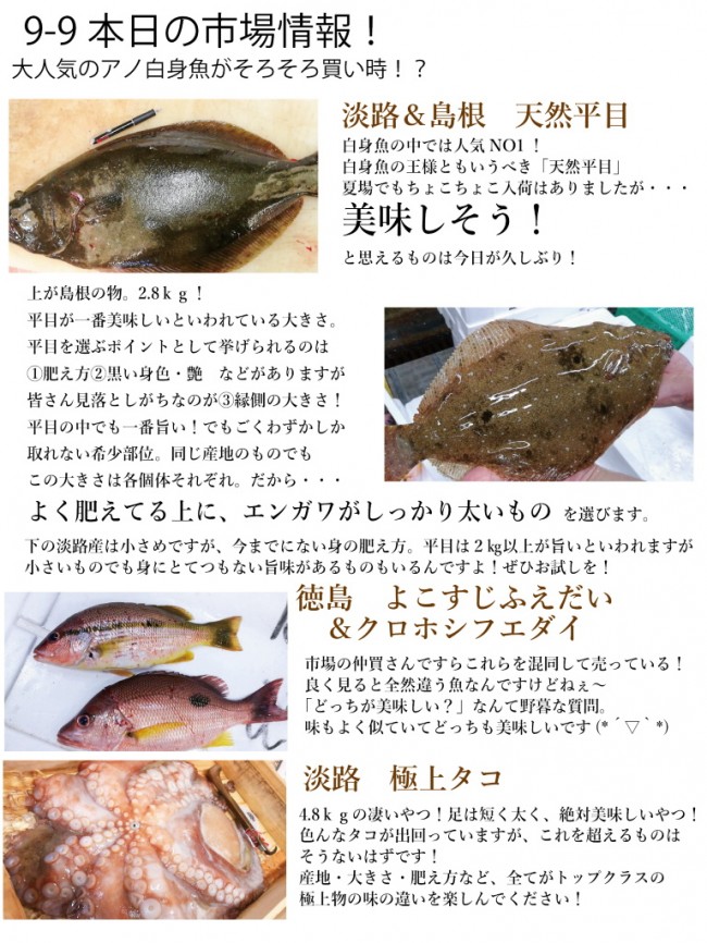 入荷情報9-9