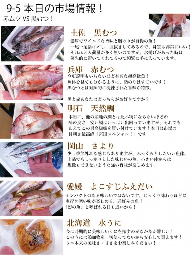 入荷情報9-5