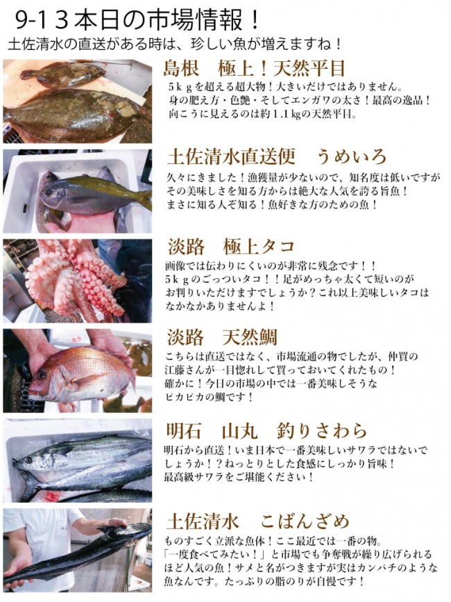 入荷情報9-13