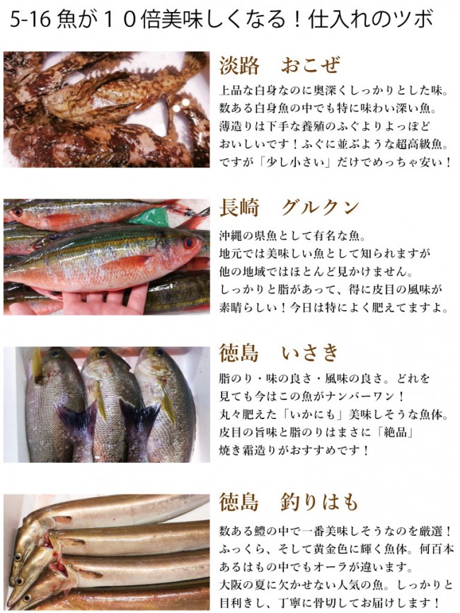 入荷情報2020-5-16