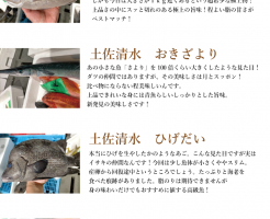 入荷情報2021-10-8