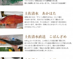 入荷情報2021-10-15