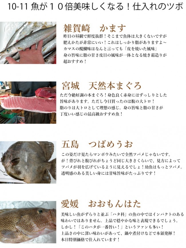 入荷情報2021-10-11