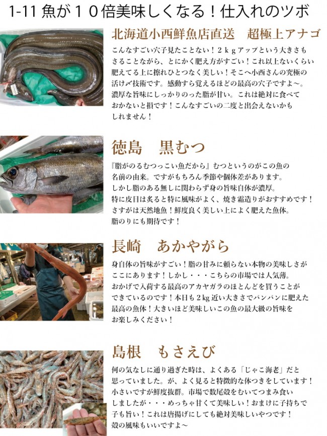 入荷情報2022-1-11